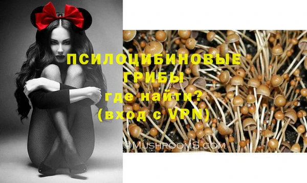 прущая мука Арсеньев