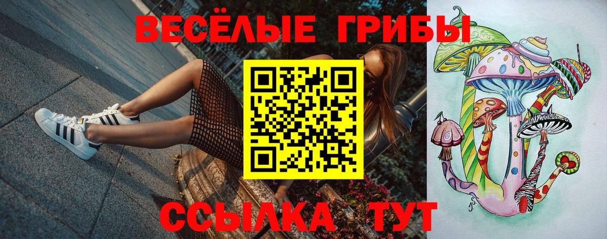 Галлюциногенные грибы Psilocybine cubensis Ахтубинск