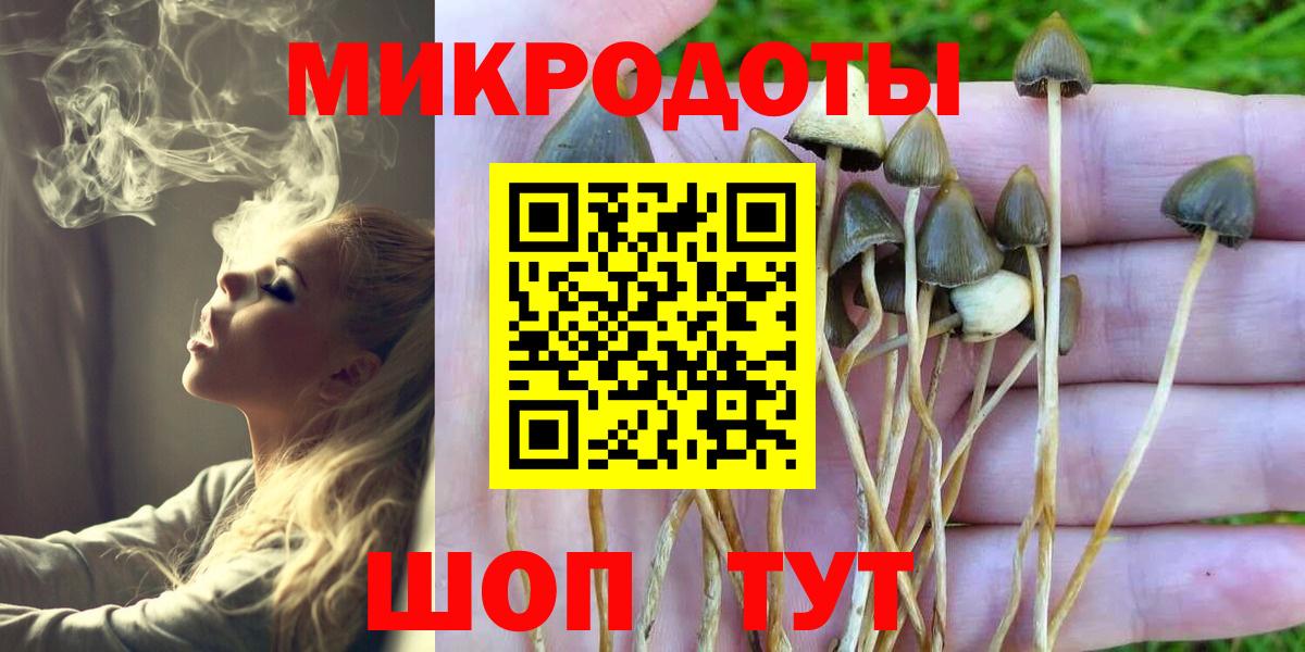 Ахтубинск  Псилоцибиновые грибы мицелий  Вход с VPN 