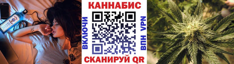 ссылка на мегу   Ахтубинск  Каннабис сатива 